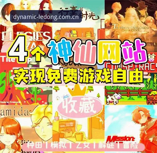 乐动娱乐平台下载 vs 网页版体验：哪个更适合新手入门？